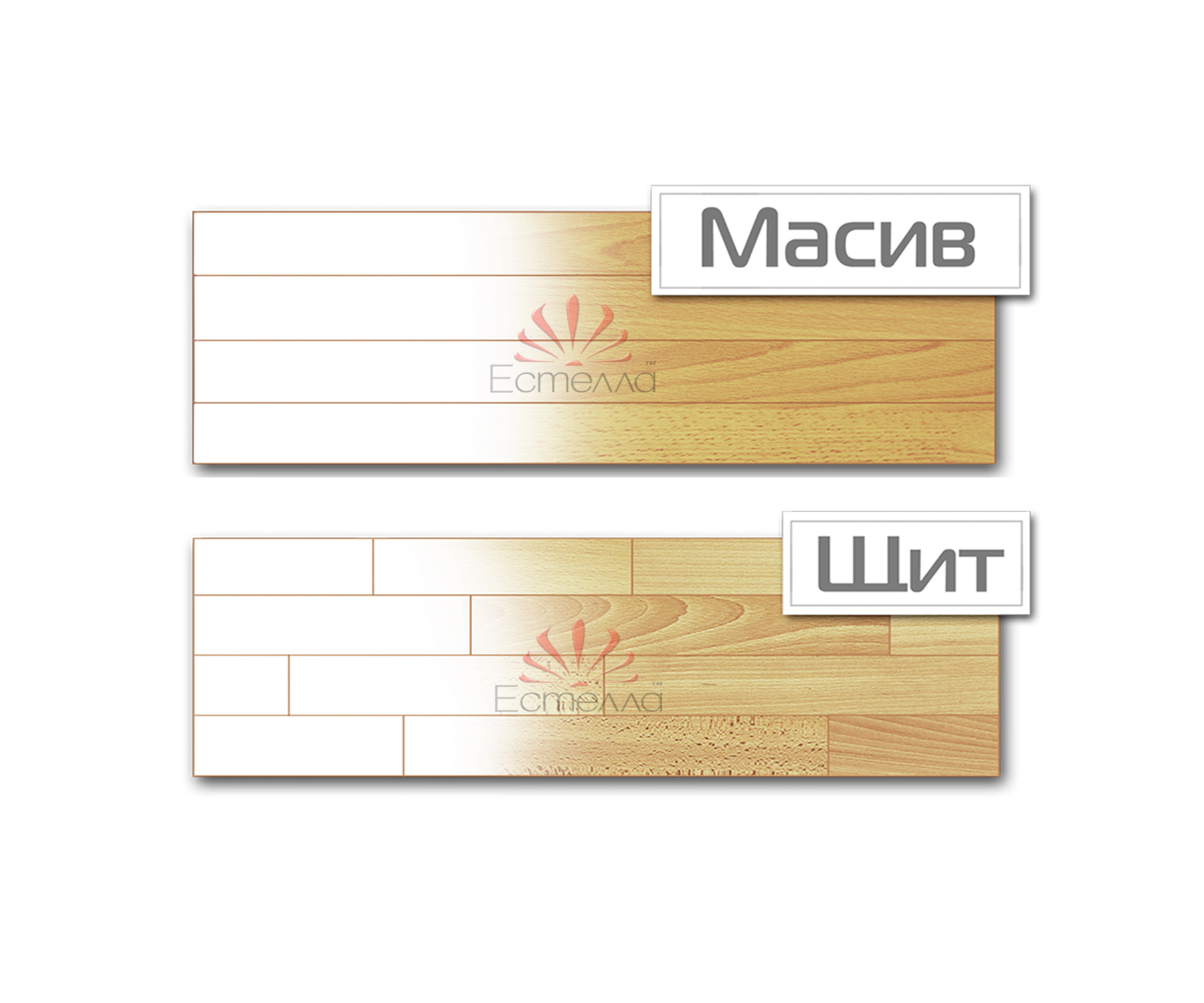 Щит,Масив Щит,Масив