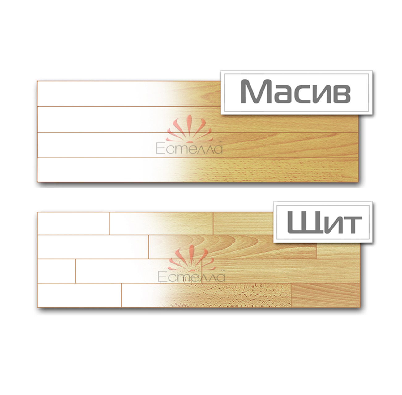 Щит,Масив Щит,Масив