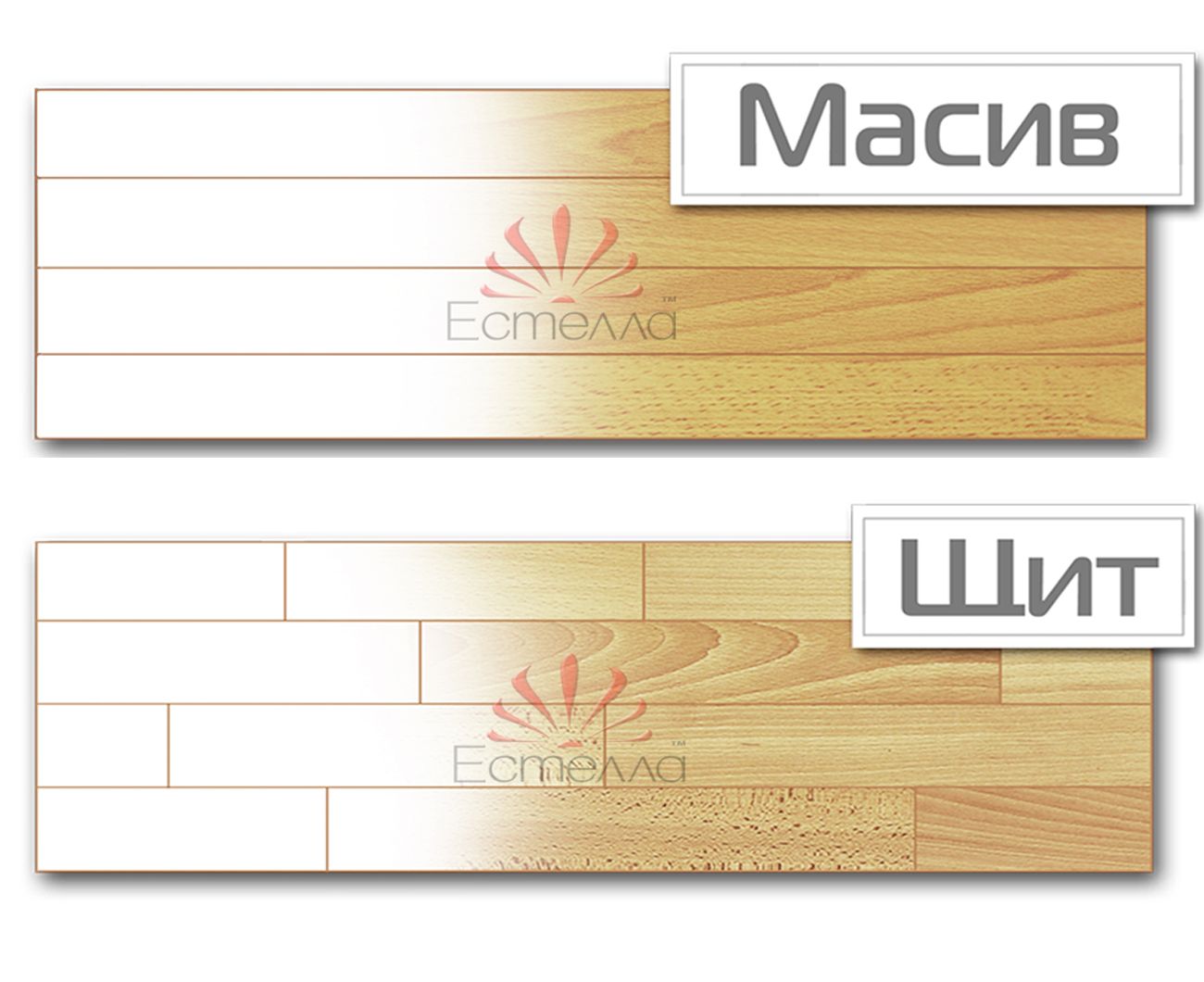 Щит,Масив Щит,Масив