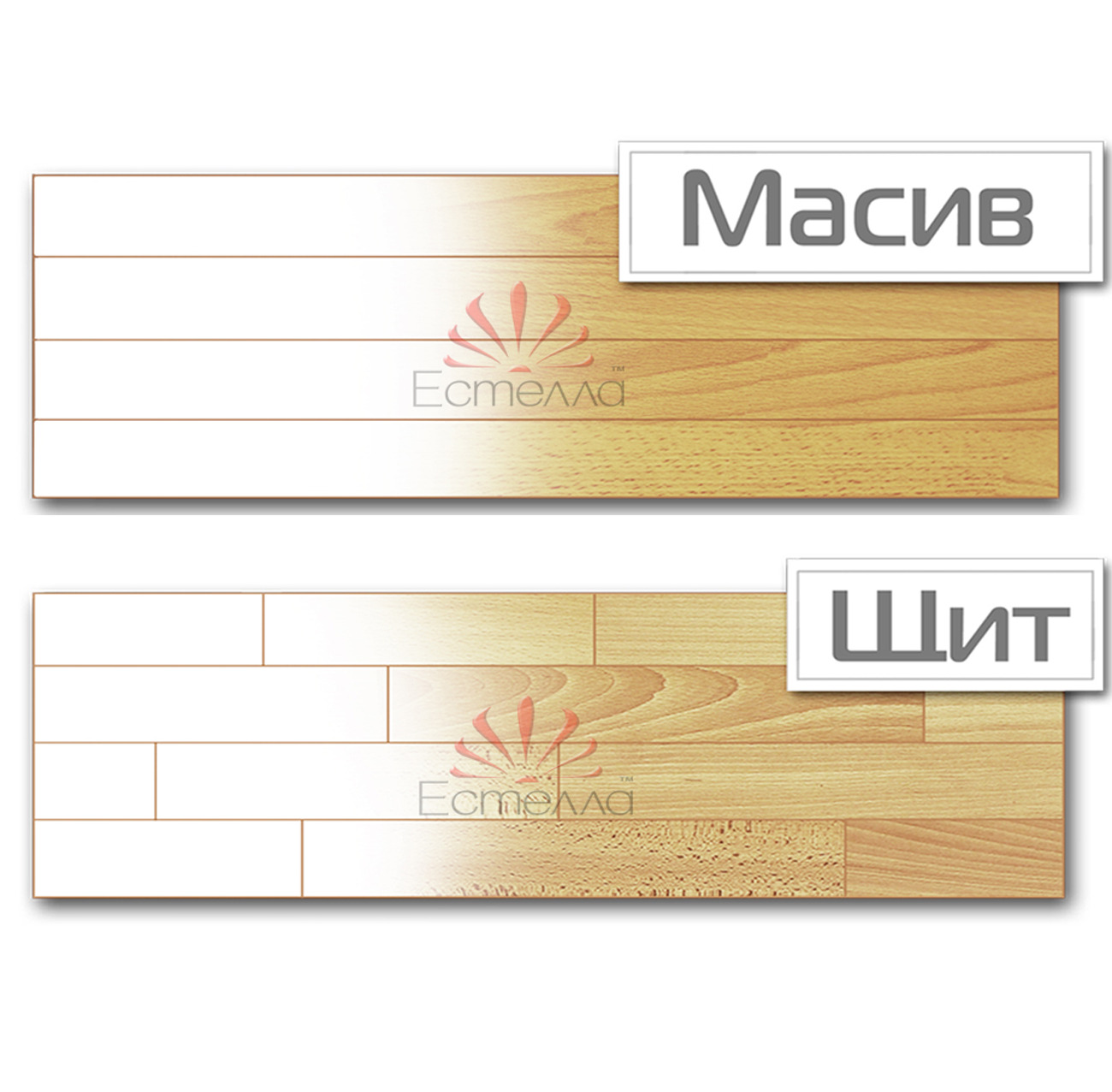 Щит,Масив Щит,Масив