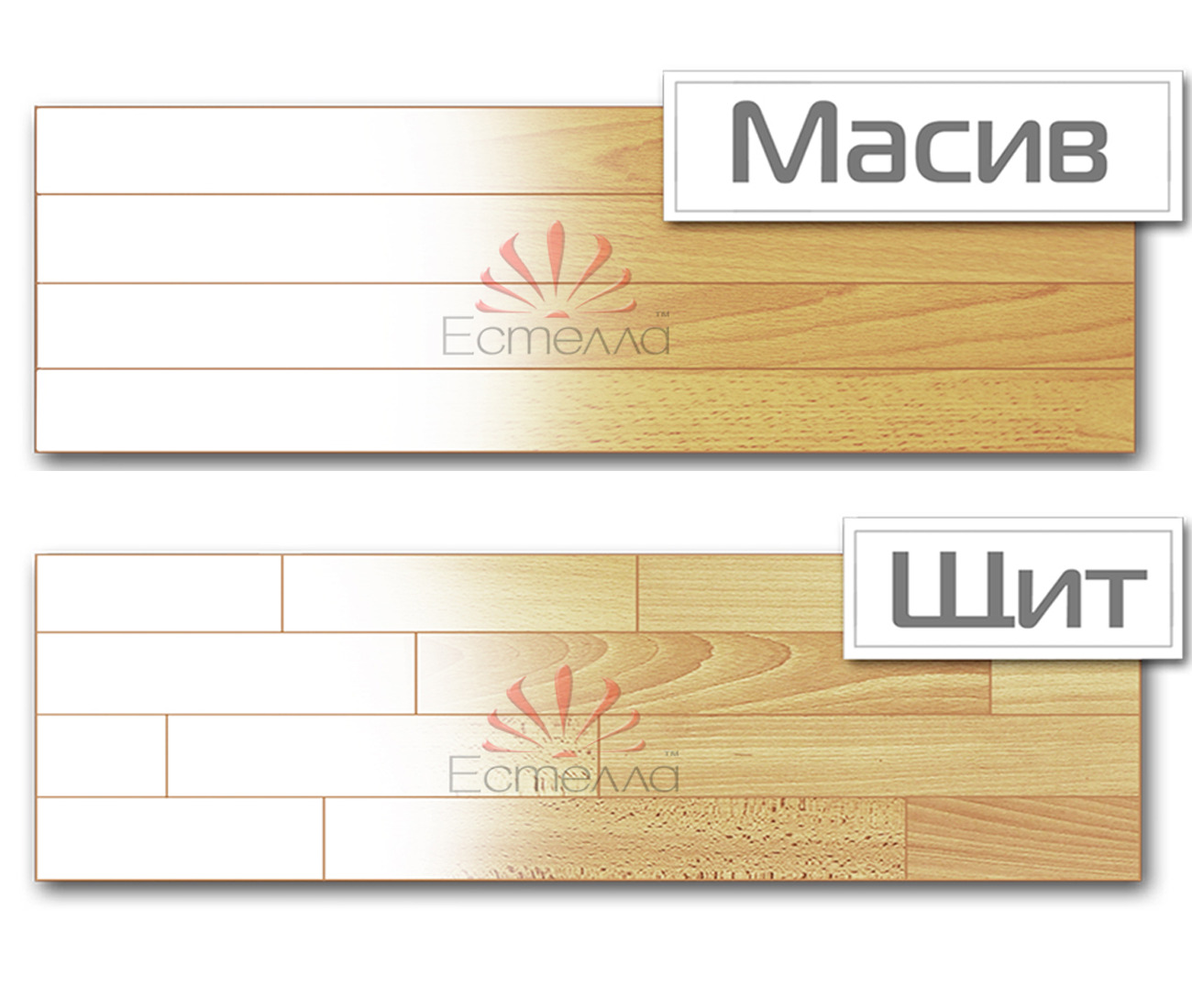 Щит,Масив Щит,Масив