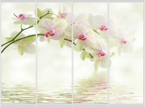 F340LSLSRR F340LSLSRR