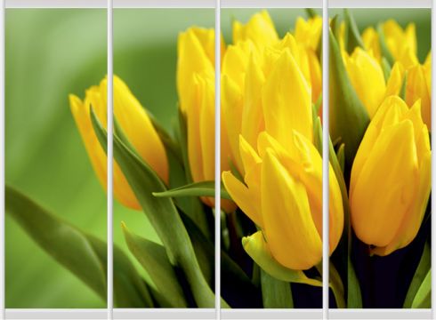 F965LSLSRR F965LSLSRR