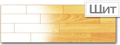 Щит і масив