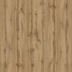 Дуб аппалачі Дуб аппалачі